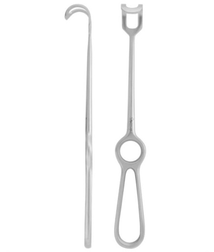 Queen  Ekartör Middeldorph 20Cmx22cm 23 5Cm - 103-221