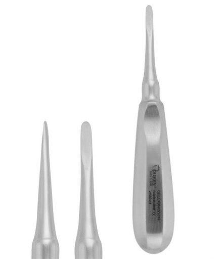 Queen  Düz Lüxatör Elevatör Lüxatör 4 5Mm 15Cm - QELLUX004