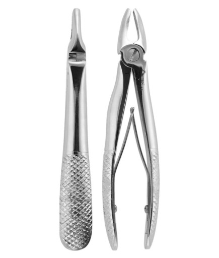 QEFP001 Üst Premolar Davyesi Fig. 7 11,5Cm
