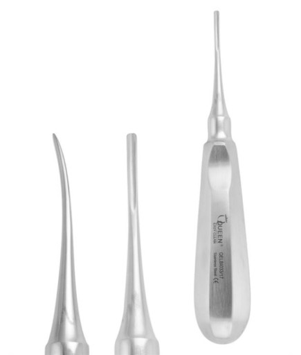 Queen  Eğri Bien Elevatör Bien 2Mm 15Cm - QELBI033