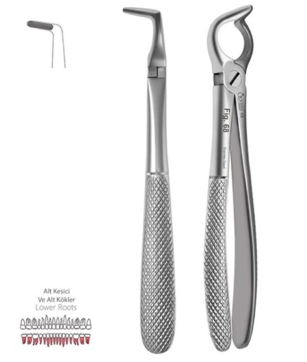 Queen  Alt Kök Davyesi Fig- 68 18Cm - QEFLR158