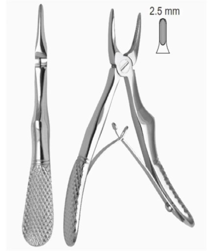 Queen Çocuk Üst Keser Davyesi Fig- 29 11 5Cm - QEFP002