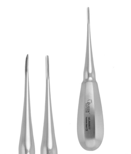 Queen  Sağ Ok Uçlu Elevatör Bernard 4Mm 15Cm - QELB12H036