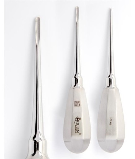Queen+  Düz Bien Elevatör Bien Fig 1 3Mm 13Cm - 330-068-001