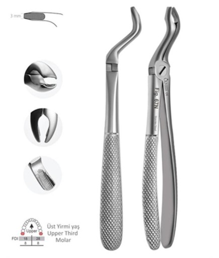 Queen  Üst Yirmi Yaşlar Davyesi Fig- 67N 3Mm 17Cm - QEF233