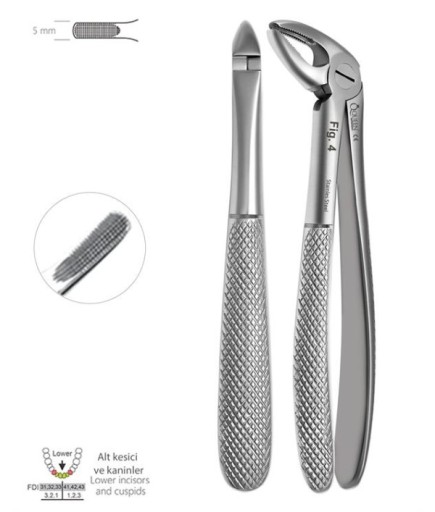 Queen  Alt Keser Davyesi Fig- 4 5Mm 15Cm - QEF057