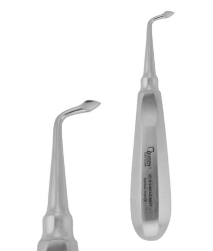 Queen  Sol Ok Uçlu Elevatör Bernard 4Mm 15Cm - QELB12H024