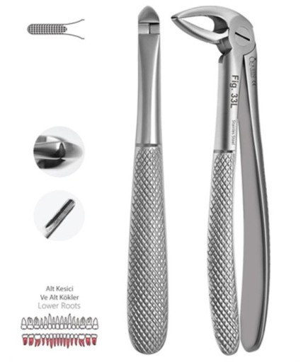 Queen  Alt Kök Davyesi Fig- 33L 6Mm 14Cm - QEFLR146
