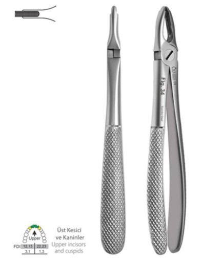 Queen  Üst Keser Davyesi Fig- 34 15Cm - QEF225