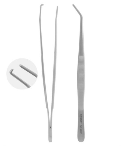 Queen  Presel Fig-Crane Kaplan 15 5Cm - QTW5097