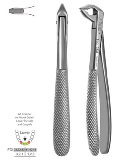 Queen  Alt Kesici Davyesi Fig- 36A 14Cm - QEF230