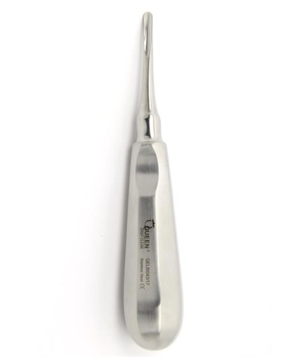 Queen  Eğri Bien Elevatör Bien 4 5Mm 15Cm - QELBI043