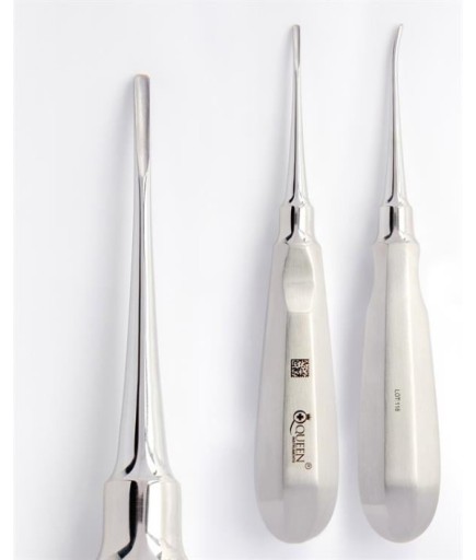 Queen+  Eğri Bien Elevatör Bein Fig0a 2Mm 16Cm - 330-073-000A-LH