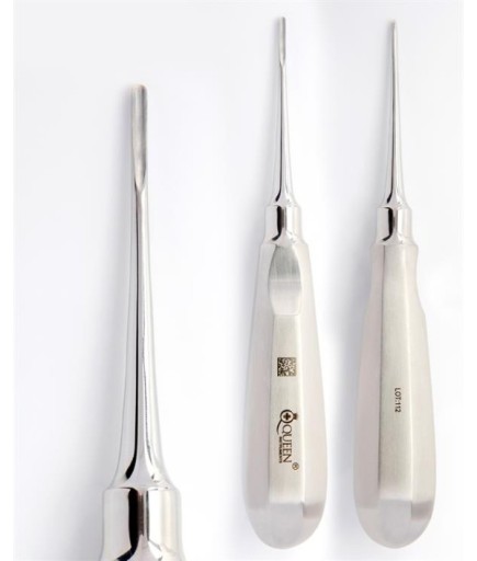 Queen+  Düz Bien Elevatör Bein Fig1 2Mm 16Cm - 330-067-000-LH