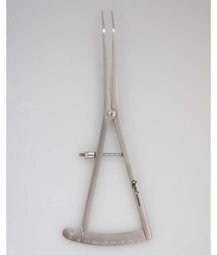 Queen  Kumpas 17Cm - QCLP005