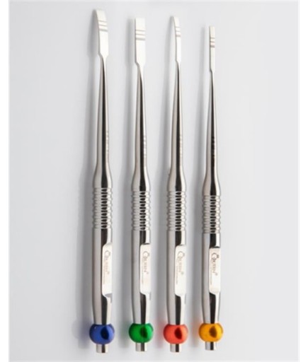 Queen  Chisel Seti 3Mm-6Mm 17Cm 4 Parça-Pkt- QCHSLSET001