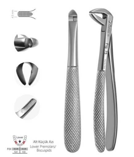 QEF059 Alt Molar Davyesi Fig. 75 4,5Mm 14,5Cm