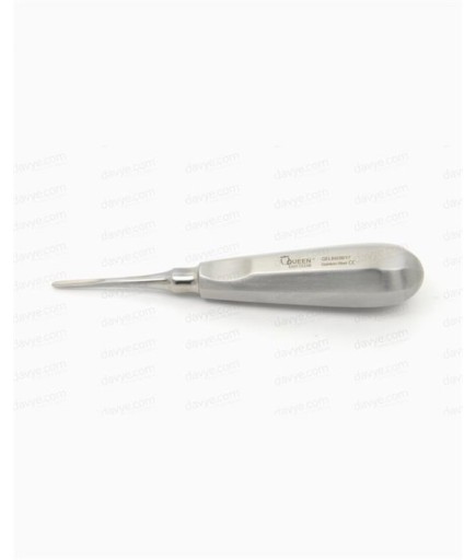 Queen  Düz Lüxatör Elevatör Lüxatör 3Mm - QELLB12H052