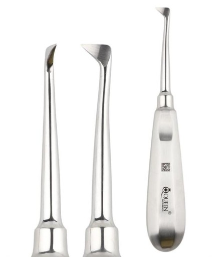 Queen+  Sağ Cryer Elevatör Seldin Fig4r 16Cm - 330-004-004R
