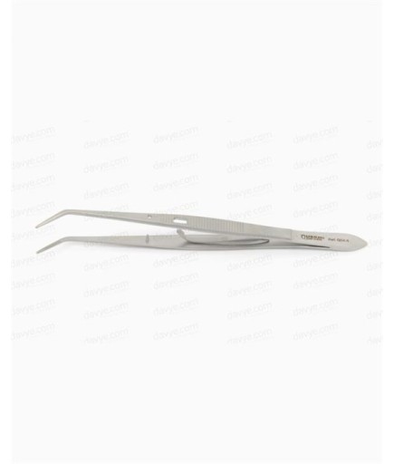 Queen  Presel Fig-College 15Cm - QTW010