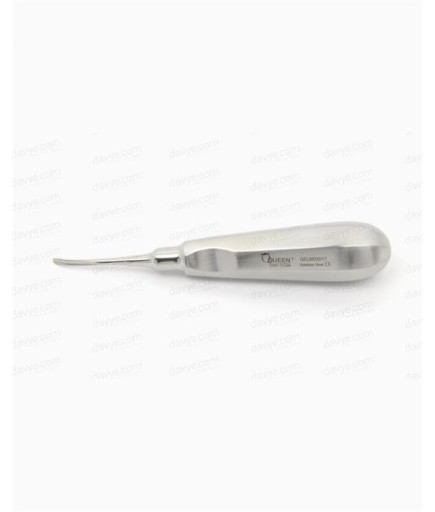 Queen  Eğri Bien Elevatör Bien 2 5Mm 15Cm - QELBI035