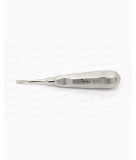Queen  Eğri Bien Elevatör Bien 4Mm 15Cm - QELBI041