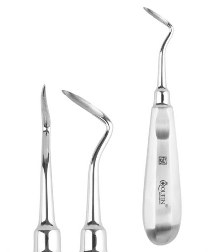 Queen+  Sağ Bien Elevatör Apical Fig303 2Mm 16Cm - 330-048-303