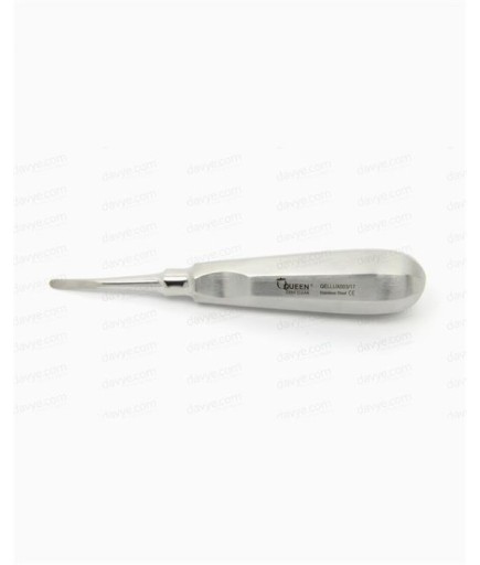 Queen  Düz Lüxatör Elevatör Lüxatör 3 5Mm 15Cm - QELLUX003