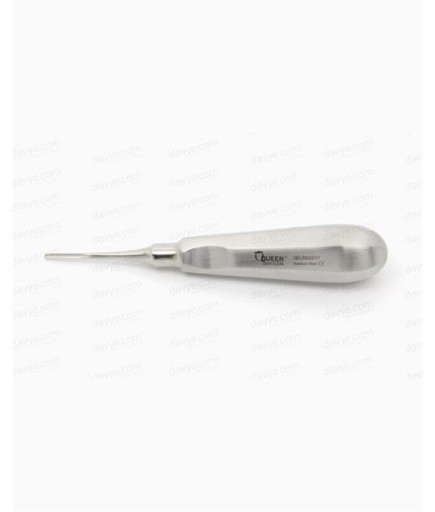 Queen  Düz Bien Elevatör Bien 2Mm 15Cm - QELBI032