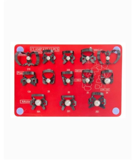 Queen  Rubber Dam Aleti 8 Parça-Kaset- QRD002