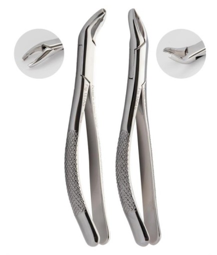 Queen  Tüm Üst Dişdavye Seti Fig- 150AS 17Cm 2 Parça-Pkt- SET00004
