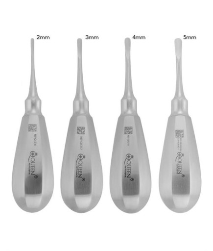 Queen+  Düz Lüxatör Elevatör Seti Lüxatör 2-3-4-5Mm 12 5Cm 4 Parça-Pkt- SET00024