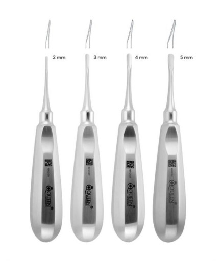 Queen+  Eğri Lüxatör Elevatör Seti Lüxatör 2-3-4-5Mm 15Cm 4 Parça-Pkt- SET00027
