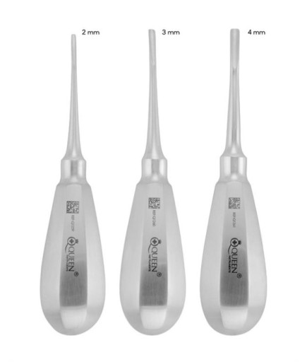 Queen+  Eğri Bien Elevatör Seti Bien 2-3-4Mm 13Cm 3 Parça-Pkt- SET00032