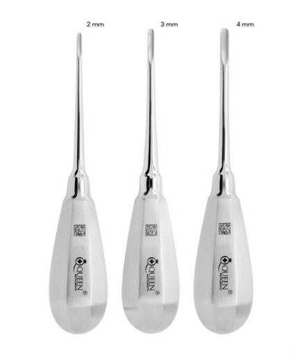 Queen+  Düz Bien Elevatör Seti Bien 2-3-4Mm 13Cm 3 Parça-Pkt- SET00028
