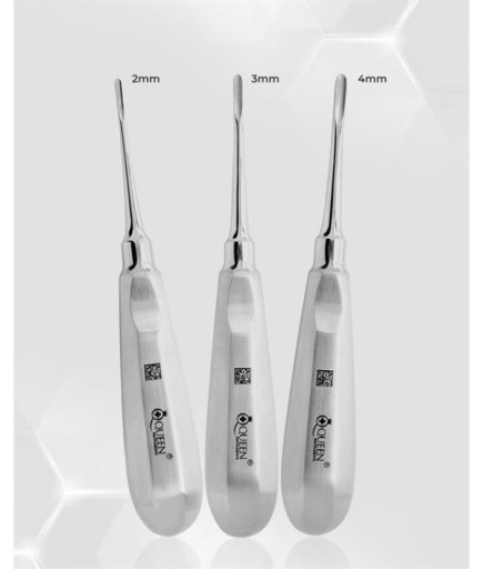 Queen+  Düz Bien Elevatör Seti Bien 2-3-4Mm 16Cm 3 Parça-Pkt- SET00031