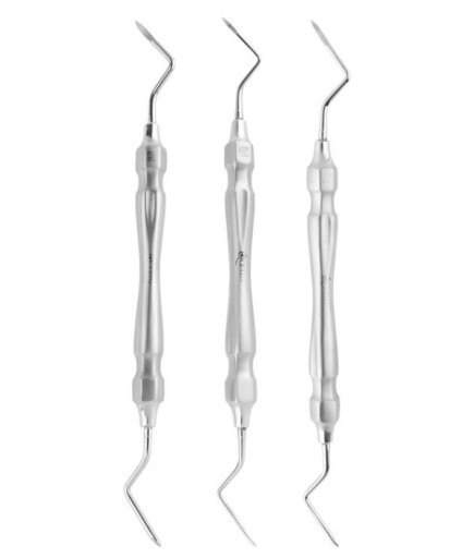 Queen+  Sağ-Sol Apekso Heidbrink Elevatör Seti Heidebrink 20Cm 3 Parça-Pkt- SET00059