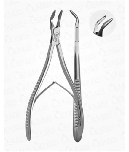 Queen  Eğri Kemik Pensi FRIEDMAN 15Cm - Q350-006