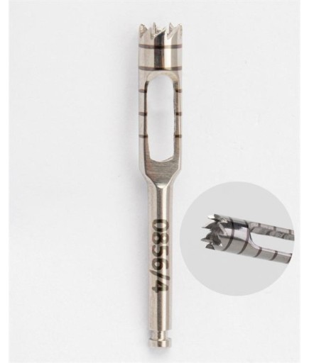 Queen  Trefan Frez 4Mm 2 8Cm - QTRPH004