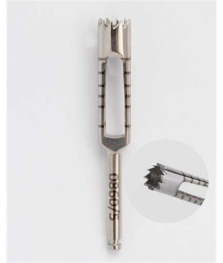 Queen  Trefan Frez 5Mm 2 8Cm - QTRPH009