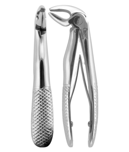 QEFP005 Alt Molar Davyesi Fig. 22 10,5Cm