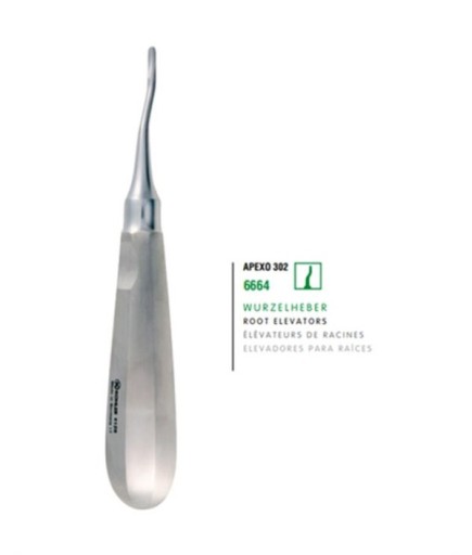 Kohler  20 Yaş Dişleri L Bayonet Distal Bien Elevatör APEXO 302 - 6664