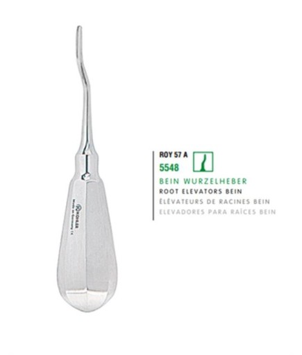Kohler  20 Yaş Dişleri L Bayonet Mesial Bien Elevatör Roy  57A - 5548