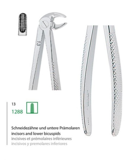 Kohler  Alt Premolar Davyesi Fig- 13 - 1288