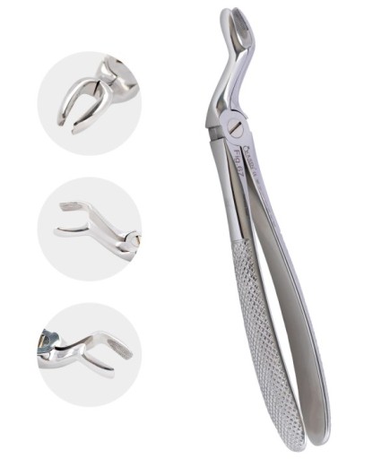 QEFUM081 Üst 20 Yaşlar Davyesi Fig. 67 7Mm 17,3Cm