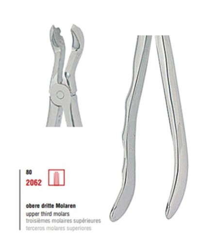 Kohler  Üst Yirmi Yaşlar Davyesi Fig- 80 - 2062