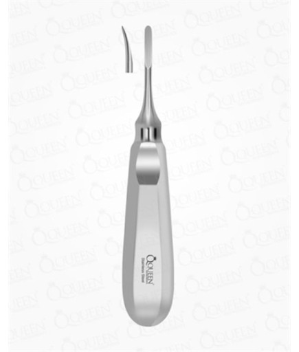 Queen  Eğri Lüxatör Elevatör Lüxatör 3Mm 16Cm - 325-264K