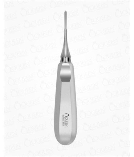 Queen  Düz Lüxatör Elevatör Lüxatör 2Mm 16Cm - 325-230K