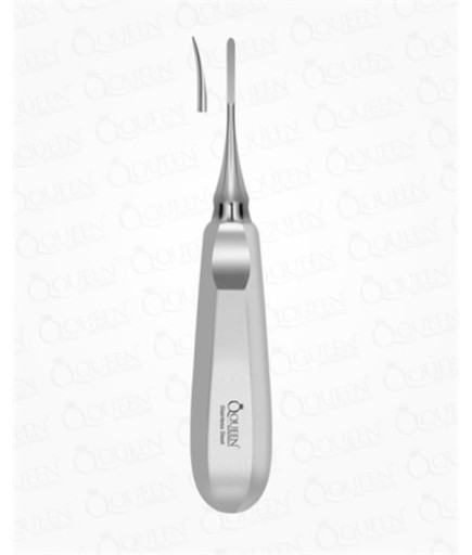 Queen  Eğri Lüxatör Elevatör Lüxatör 2Mm 16Cm - 325-232K
