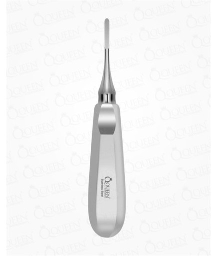 Queen  Düz Lüxatör Elevatör Lüxatör 2-5Mm 16Cm - Q325-246K